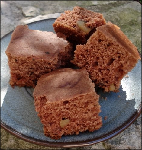 cinnamon walnut squares