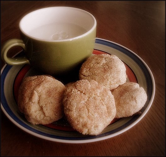 Low-fat AND GOOD Snickerdoodles!